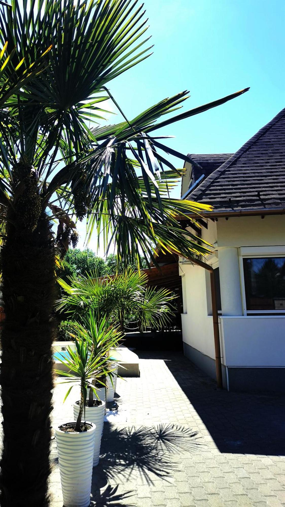 House4U Villa Balatonszemes Bagian luar foto